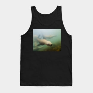 An Inquisitive Sea Lion Off the Shores of Vancouver Island Tank Top